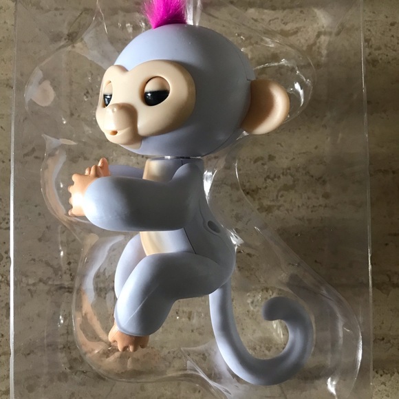 Fingerling monkey - Picture 3 of 5